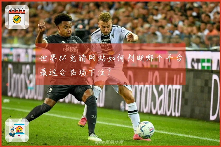 世界杯竞猜网站如何判断哪个平台最适合临场下注？