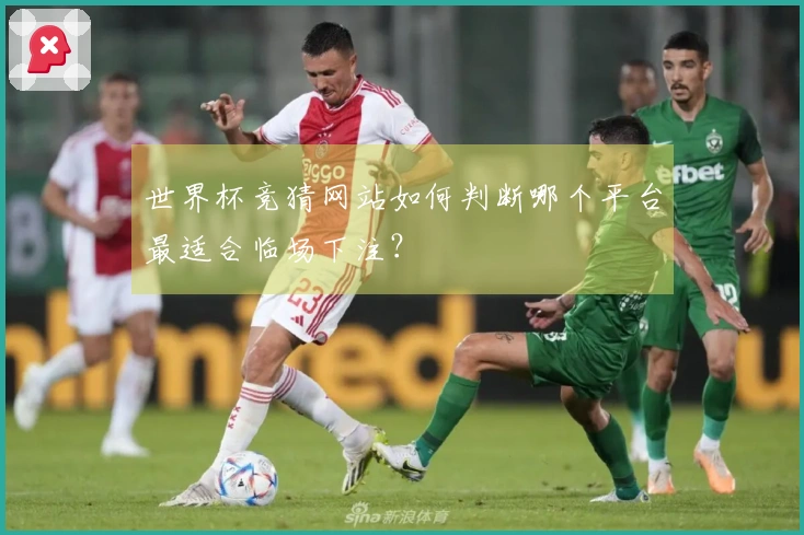 世界杯竞猜网站如何判断哪个平台最适合临场下注？